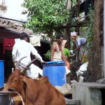 Igatpuri, India, Nov 2007