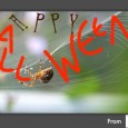 On Halloween Eve, All Hallow’s Eve, thousands of children all across North America disguise themselves in costumes and go door [&hellip;]